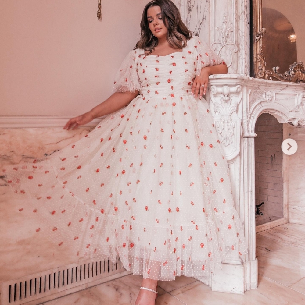 Jessakae Anne Dress NWT Sz M